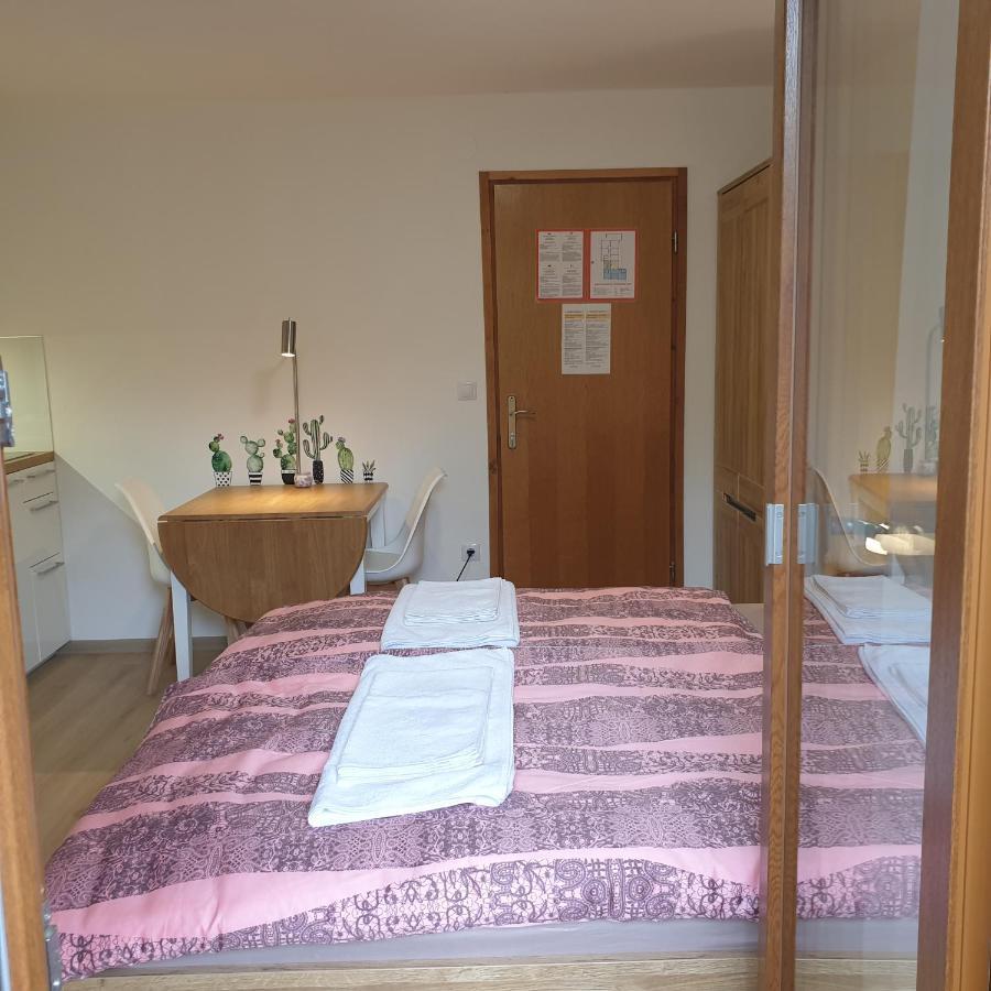 Apartmaji Pri Medvedu Studio Rudnica بوينج المظهر الخارجي الصورة