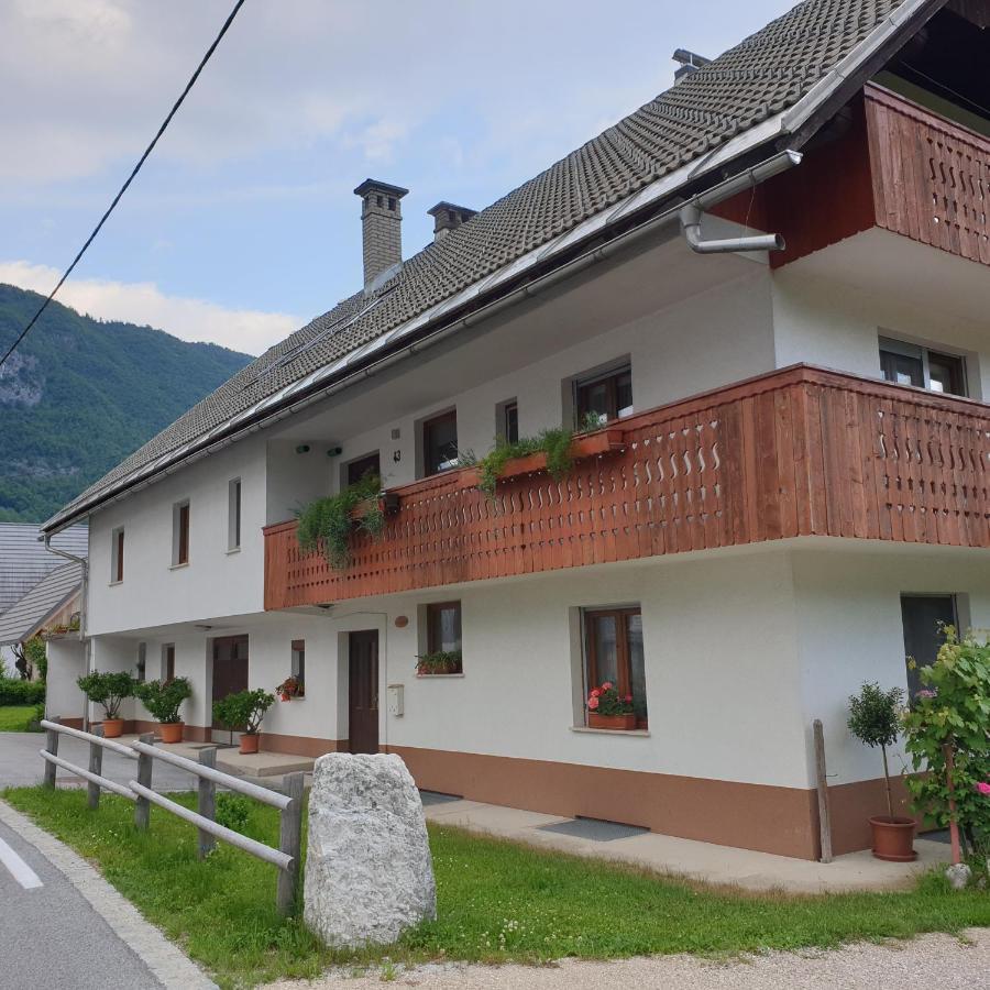 Apartmaji Pri Medvedu Studio Rudnica بوينج المظهر الخارجي الصورة